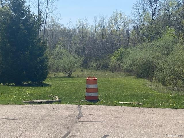 00 Emeraldwood Trl, Flushing, MI 48433 - photo 4