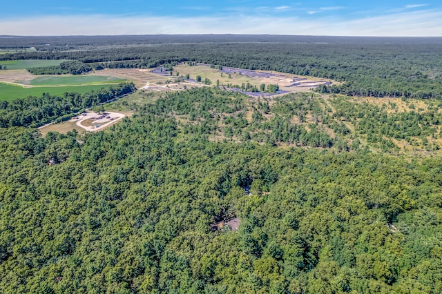 1875 Holton Whitehall Rd, Whitehall, MI 49461 - photo 42