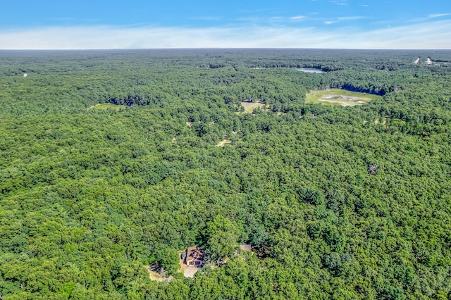 1875 Holton Whitehall Rd, Whitehall, MI 49461 - photo 43