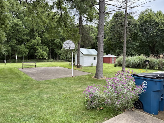 603 Spruce St, Olivet, MI 49076 - photo 21