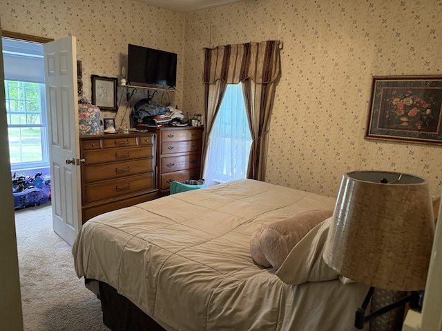603 Spruce St, Olivet, MI 49076 - photo 8