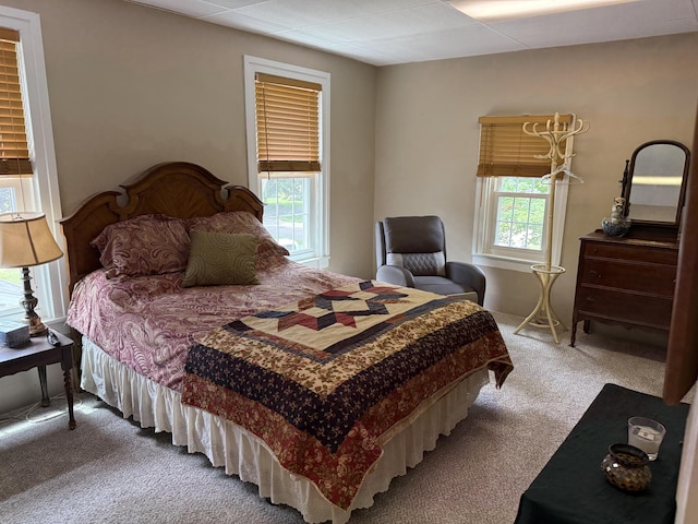 603 Spruce St, Olivet, MI 49076 - photo 12