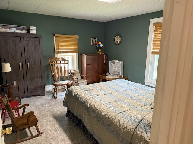 603 Spruce St, Olivet, MI 49076 - photo 15