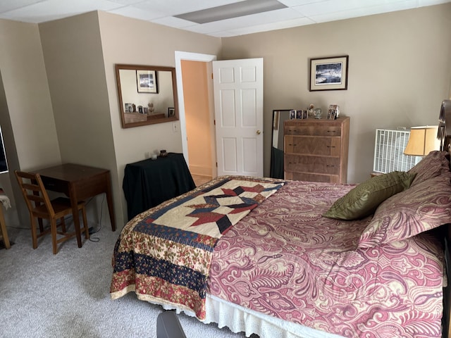 603 Spruce St, Olivet, MI 49076 - photo 13
