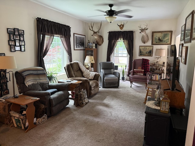 603 Spruce St, Olivet, MI 49076 - photo 7