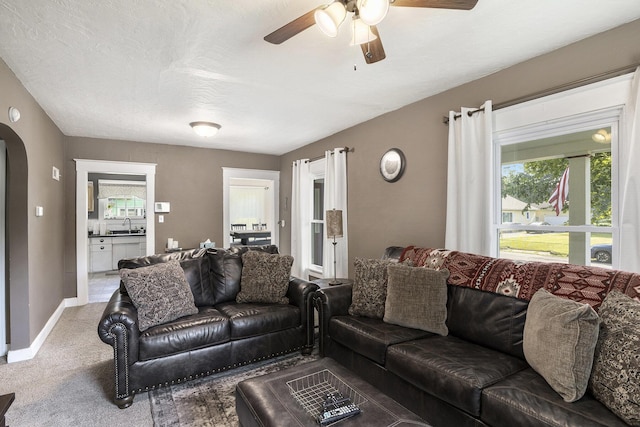 1009 N Berrien St, Albion, MI 49224 - photo 5