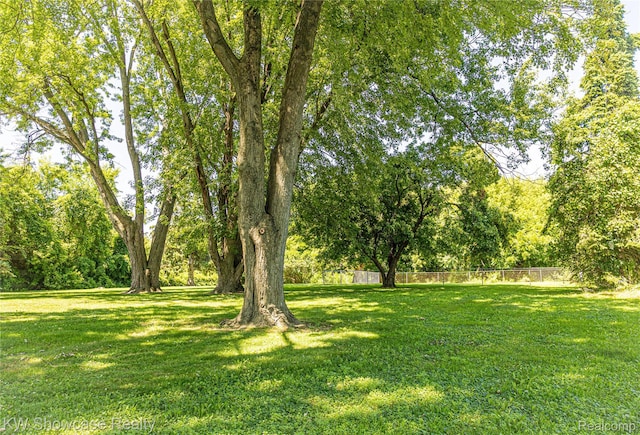 3651 Chicago Rd, Warren, MI 48092 - photo 6