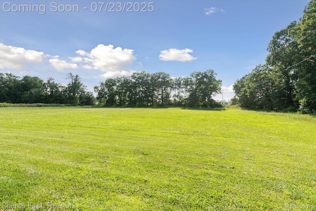 6122 Hartland Rd, Fenton, MI 48430 - photo 34