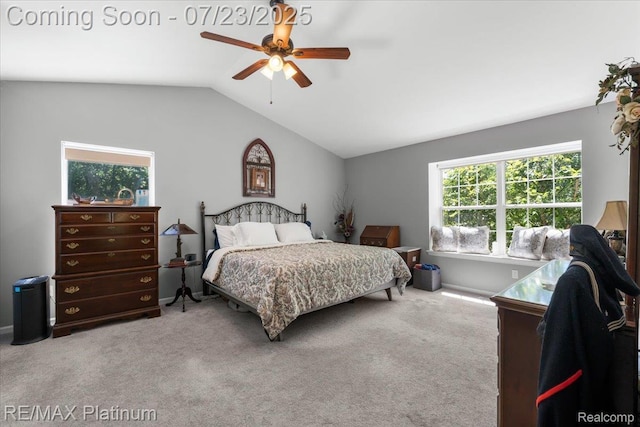 16155 Lydia Ct, Linden, MI 48451 - photo 20