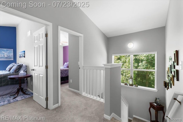16155 Lydia Ct, Linden, MI 48451 - photo 19
