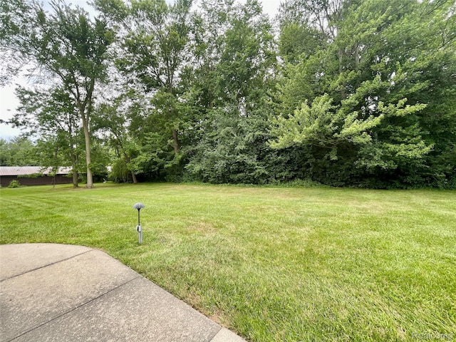 10228 Nancys Unit 37, Grosse Ile, MI 48138 - photo 3