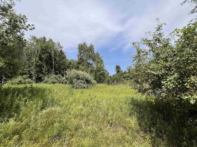 LOT11 Mcdonald Dr, Mount Pleasant, MI 48858 - photo 2