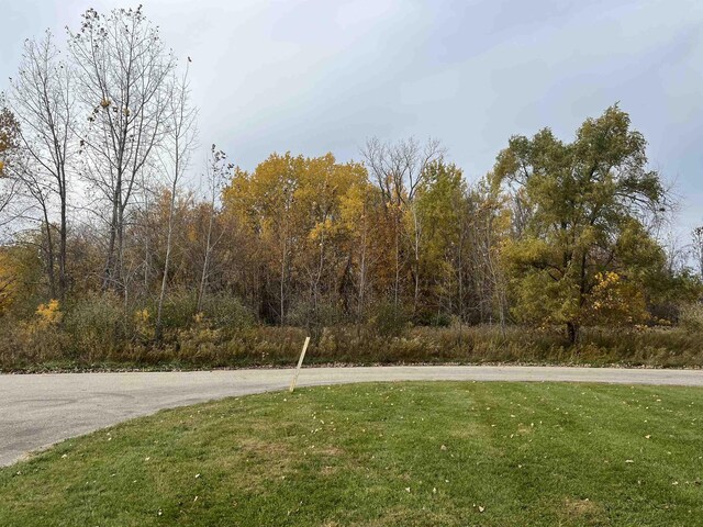 LOT11 Mcdonald Dr, Mount Pleasant, MI 48858 - photo 3