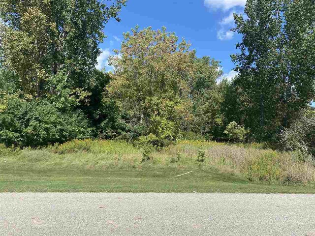 LOT11 Mcdonald Dr, Mount Pleasant, MI 48858 - photo 4
