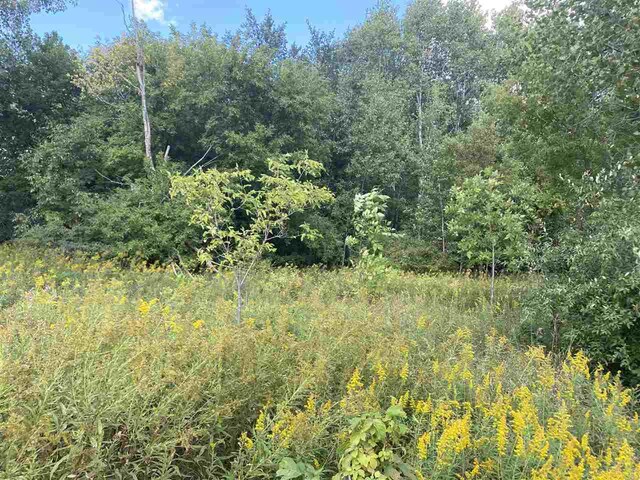 LOT11 Mcdonald Dr, Mount Pleasant, MI 48858 - photo 6