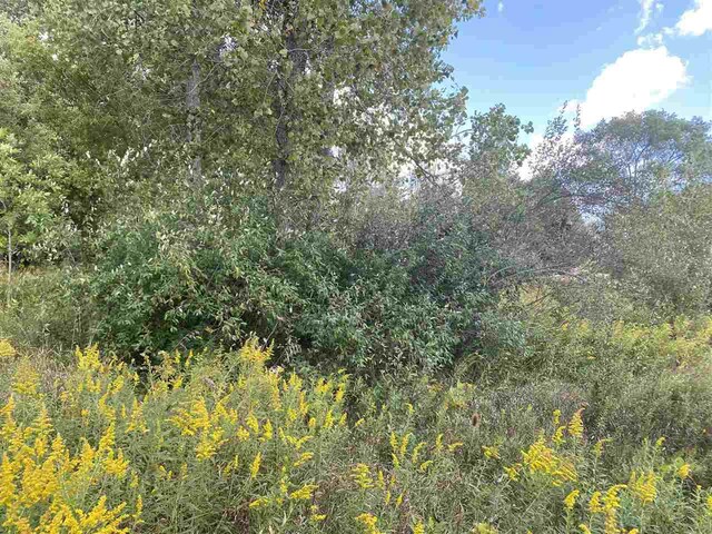 LOT11 Mcdonald Dr, Mount Pleasant, MI 48858 - photo 7