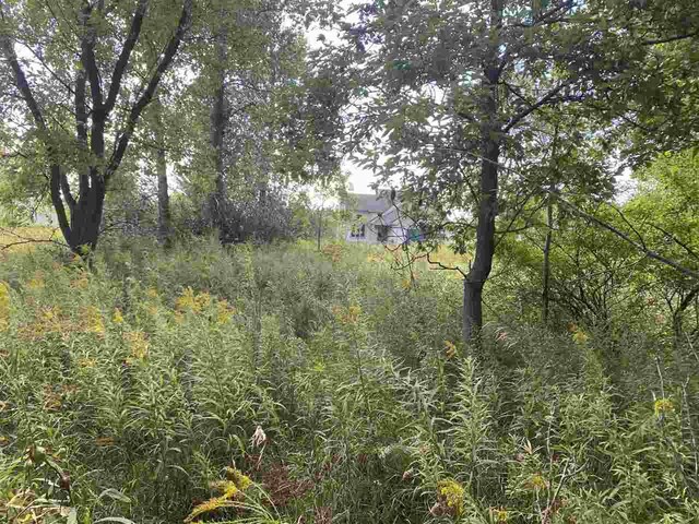 LOT11 Mcdonald Dr, Mount Pleasant, MI 48858 - photo 9