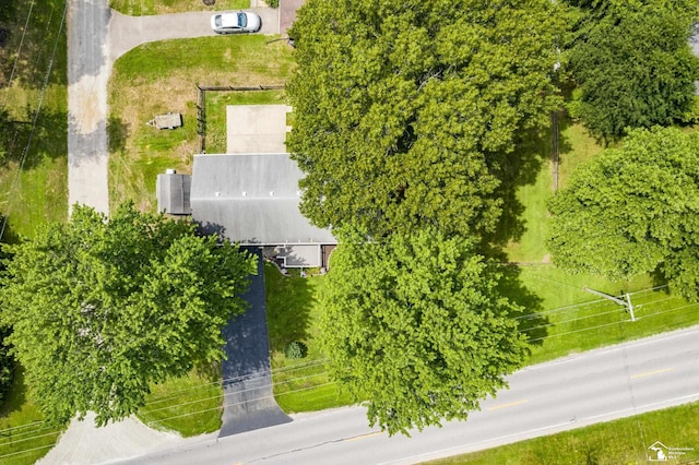 10059 Summerfield Rd, Temperance, MI 48182 - photo 4