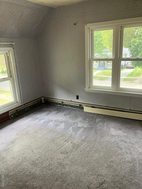 132 Whitelam St, Bad Axe, MI 48413 - photo 19