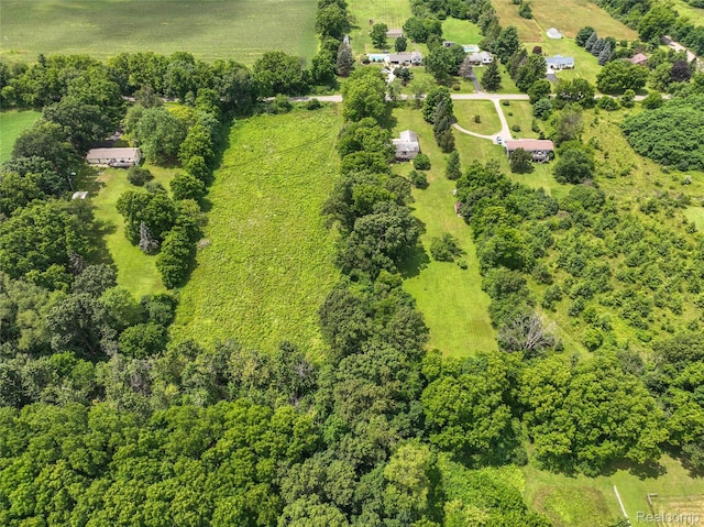 7109 Maple Dale Rd, Jackson, MI 49201 - photo 35