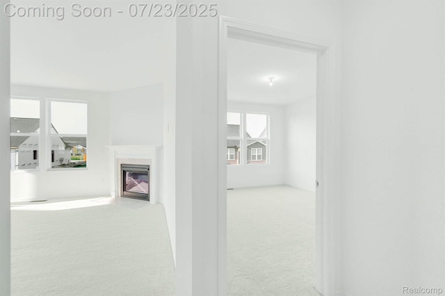 16297 Conifer Ln, Clinton Township, MI 48038 - photo 20