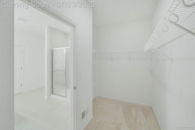 16297 Conifer Ln, Clinton Township, MI 48038 - photo 28
