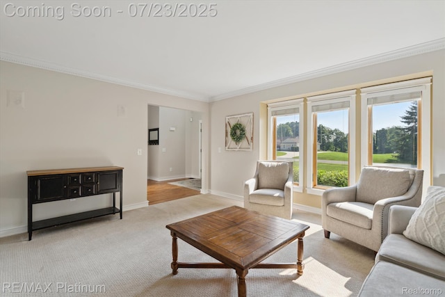 1743 W View Trl, Howell, MI 48843 - photo 10