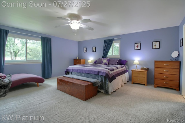 29300 Murray Crescent Dr, Southfield, MI 48076 - photo 20