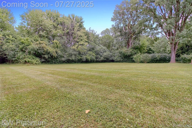 29300 Murray Crescent Dr, Southfield, MI 48076 - photo 41