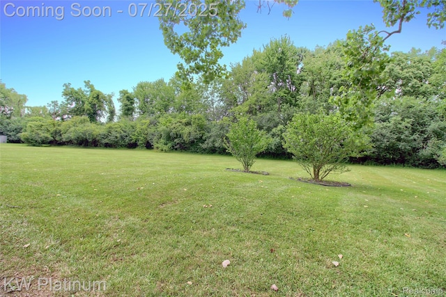 29300 Murray Crescent Dr, Southfield, MI 48076 - photo 40