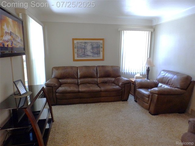 15596 Horger Ave, Allen Park, MI 48101 - photo 8