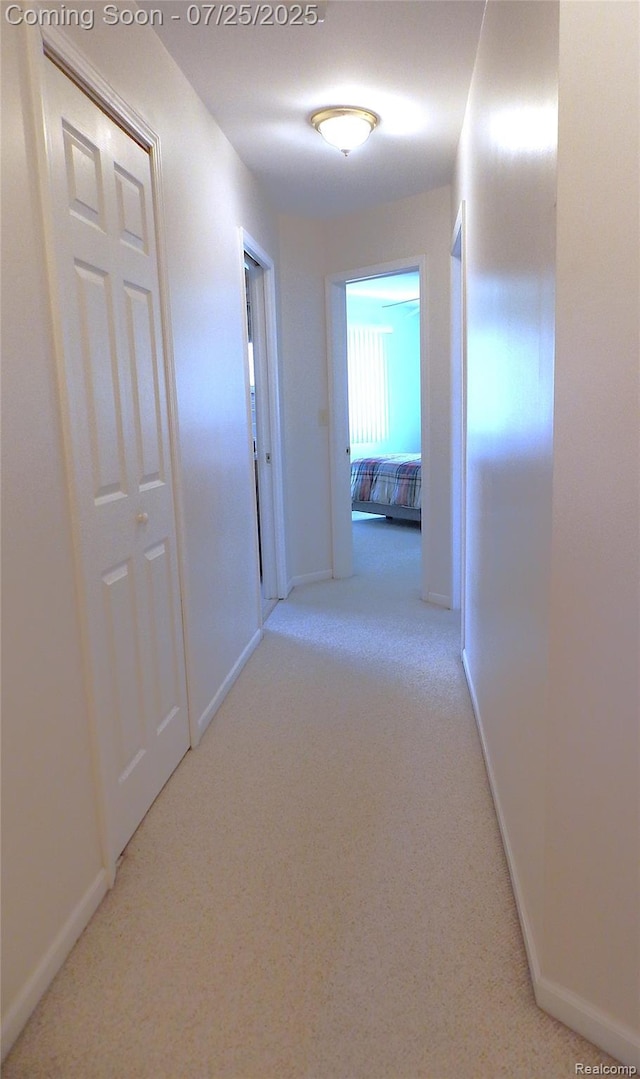15596 Horger Ave, Allen Park, MI 48101 - photo 24