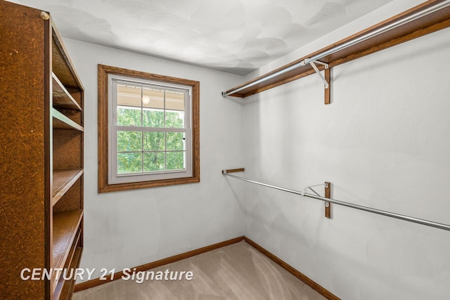 6105 Oak Meadows Ct, Midland, MI 48640 - photo 28