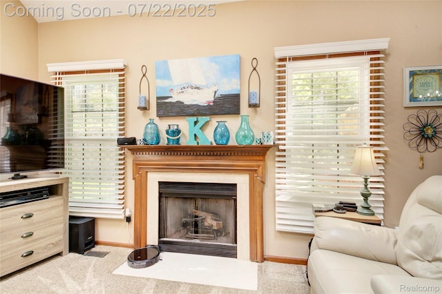 811 Woodridge Hills Dr, Brighton, MI 48116 - photo 10