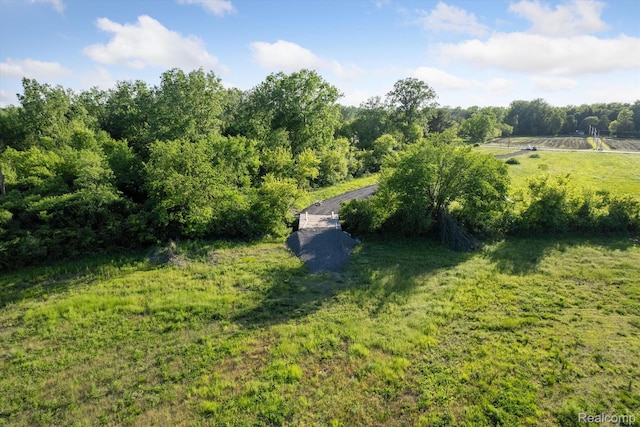 22701 Beech Daly Rd, Flat Rock, MI 48134 - photo 9