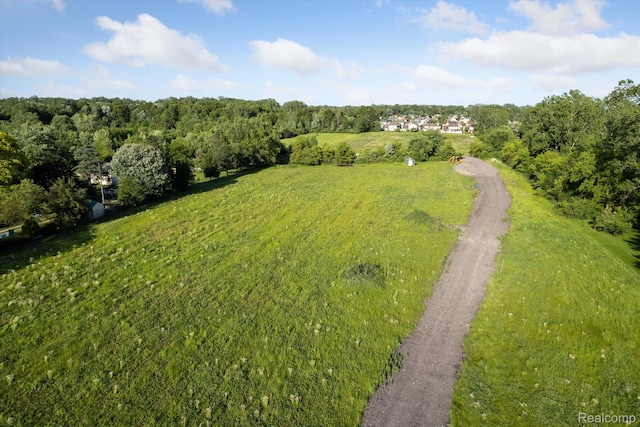 22701 Beech Daly Rd, Flat Rock, MI 48134 - photo 14