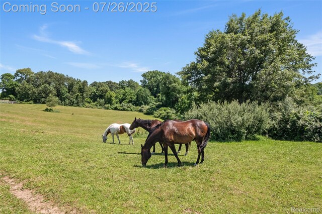 5280 Hosner Rd, Oxford, MI 48370 - photo 3