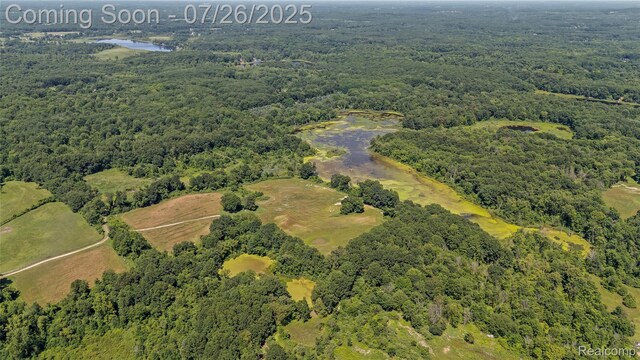 5280 Hosner Rd, Oxford, MI 48370 - photo 42