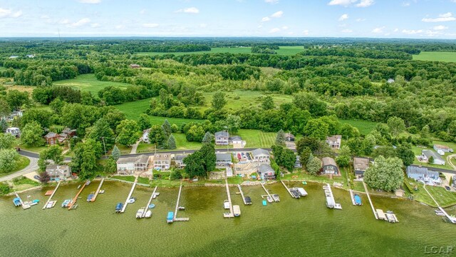 3443 Geneva Hwy, Manitou Beach, MI 49253 - photo 71