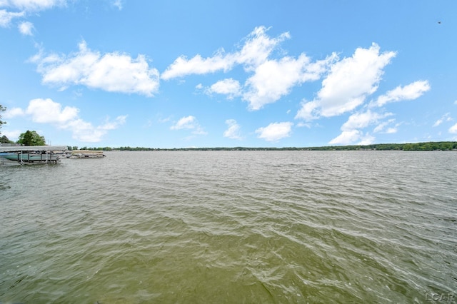 3443 Geneva Hwy, Manitou Beach, MI 49253 - photo 66