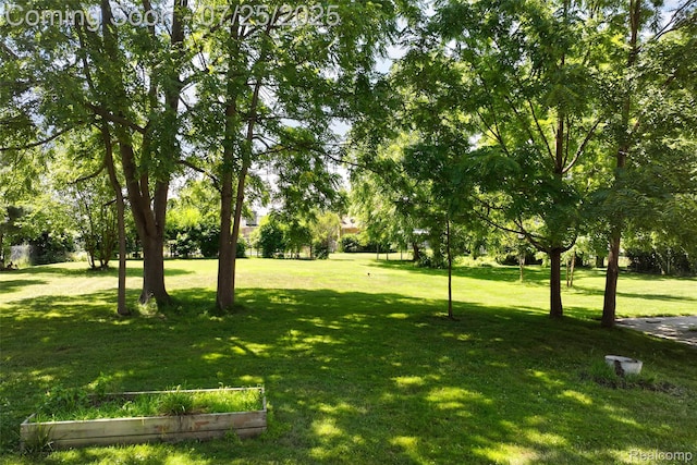 19146 Mckinnon St S, Roseville, MI 48066 - photo 79