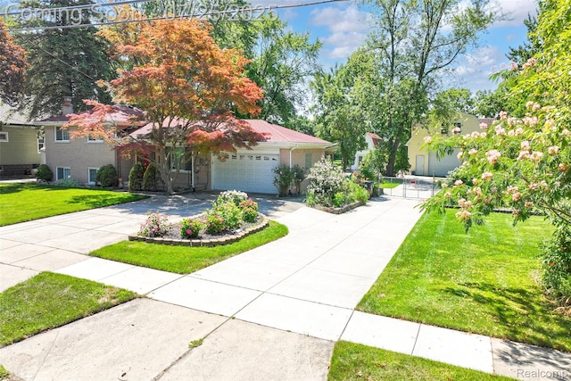 19146 Mckinnon St S, Roseville, MI 48066 - photo 10