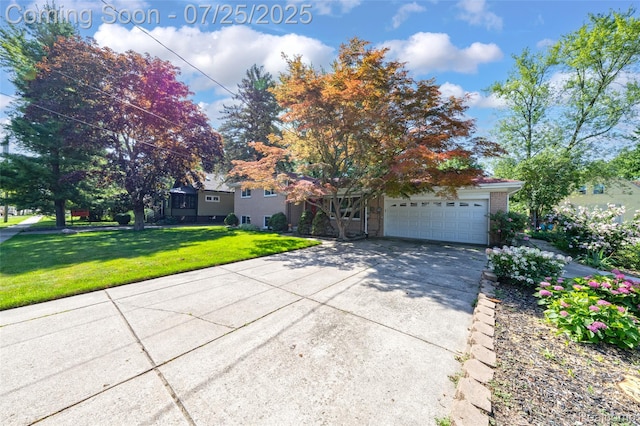 19146 Mckinnon St S, Roseville, MI 48066 - photo 45