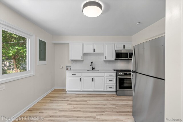 14945 Alberta Ave, Warren, MI 48089 - photo 6