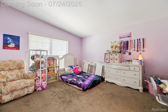 38819 Country Cir, Farmington Hills, MI 48331 - photo 12