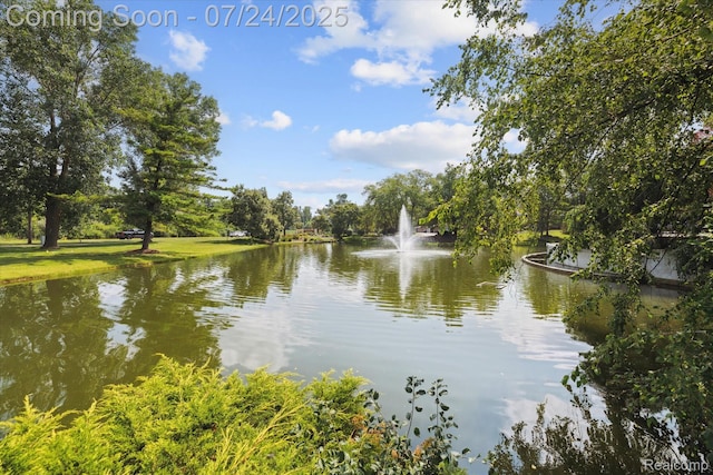 38819 Country Cir, Farmington Hills, MI 48331 - photo 28