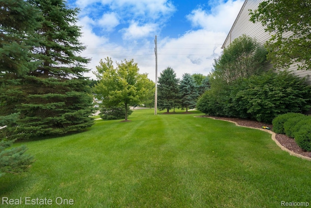 851 Deer Run Lake Rd, Holly, MI 48442 - photo 5