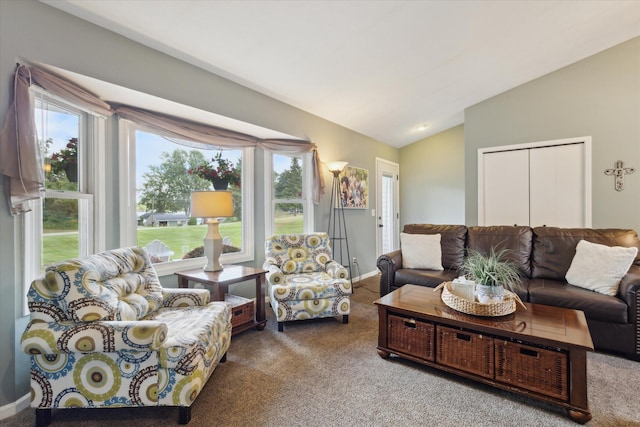 4588 6th St, Caledonia, MI 49316 - photo 9
