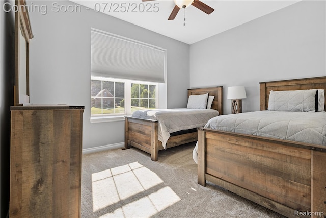 149 W Auburn Trl, Brighton, MI 48114 - photo 22