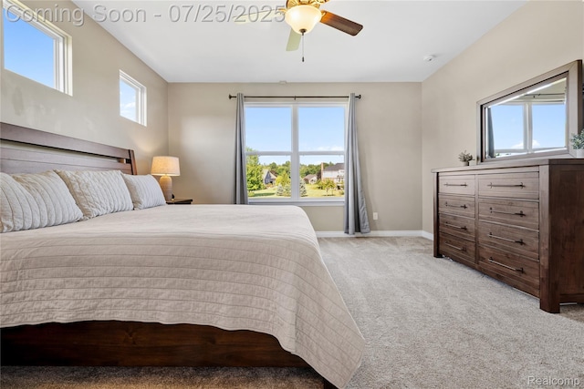 149 W Auburn Trl, Brighton, MI 48114 - photo 24